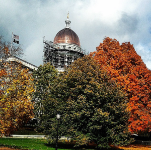 The State House, where it all happens. Probably. How would I know?