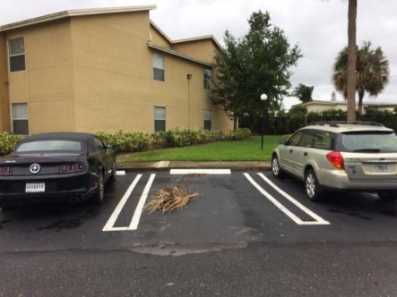 14625318_10153717935787100_1202450335_n